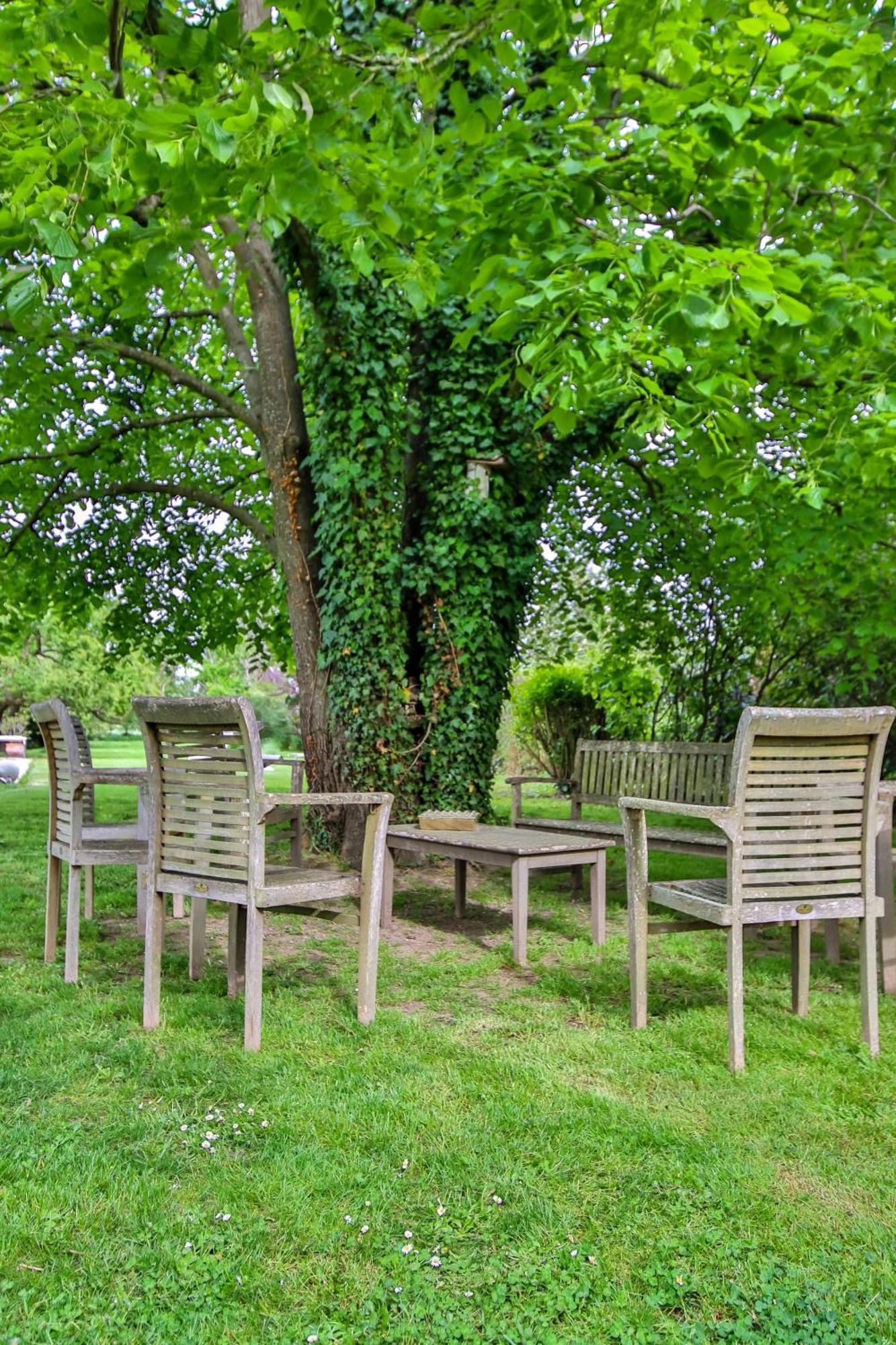 Domaine D'Aromm - Chambres D'Hotes & Gites - Piscine, Etangs & Animaux - Au Calme Ouches Εξωτερικό φωτογραφία