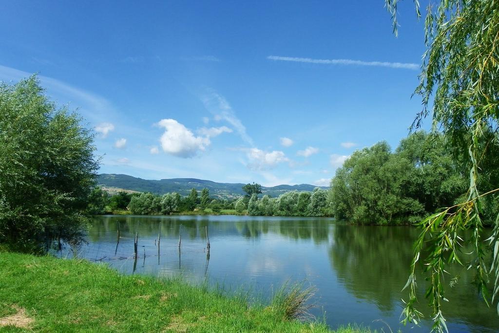 Domaine D'Aromm - Chambres D'Hotes & Gites - Piscine, Etangs & Animaux - Au Calme Ouches Εξωτερικό φωτογραφία